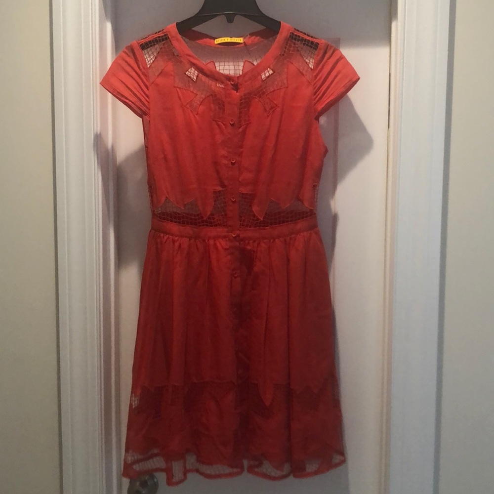 Alice + Olivia cotton sun dress 6